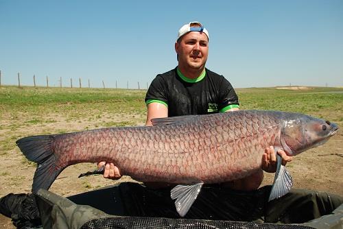 Desfasurare CN APCR Arrow Sarulesti 27 aprilie - 2 mai 2013 - 11.jpg